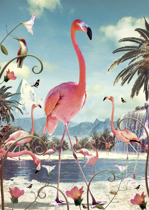 BC214 - Flamingo Stand Greeting Card by Max Hernn BC214 - Flamingo Stand Greeting Card by Max Hernn